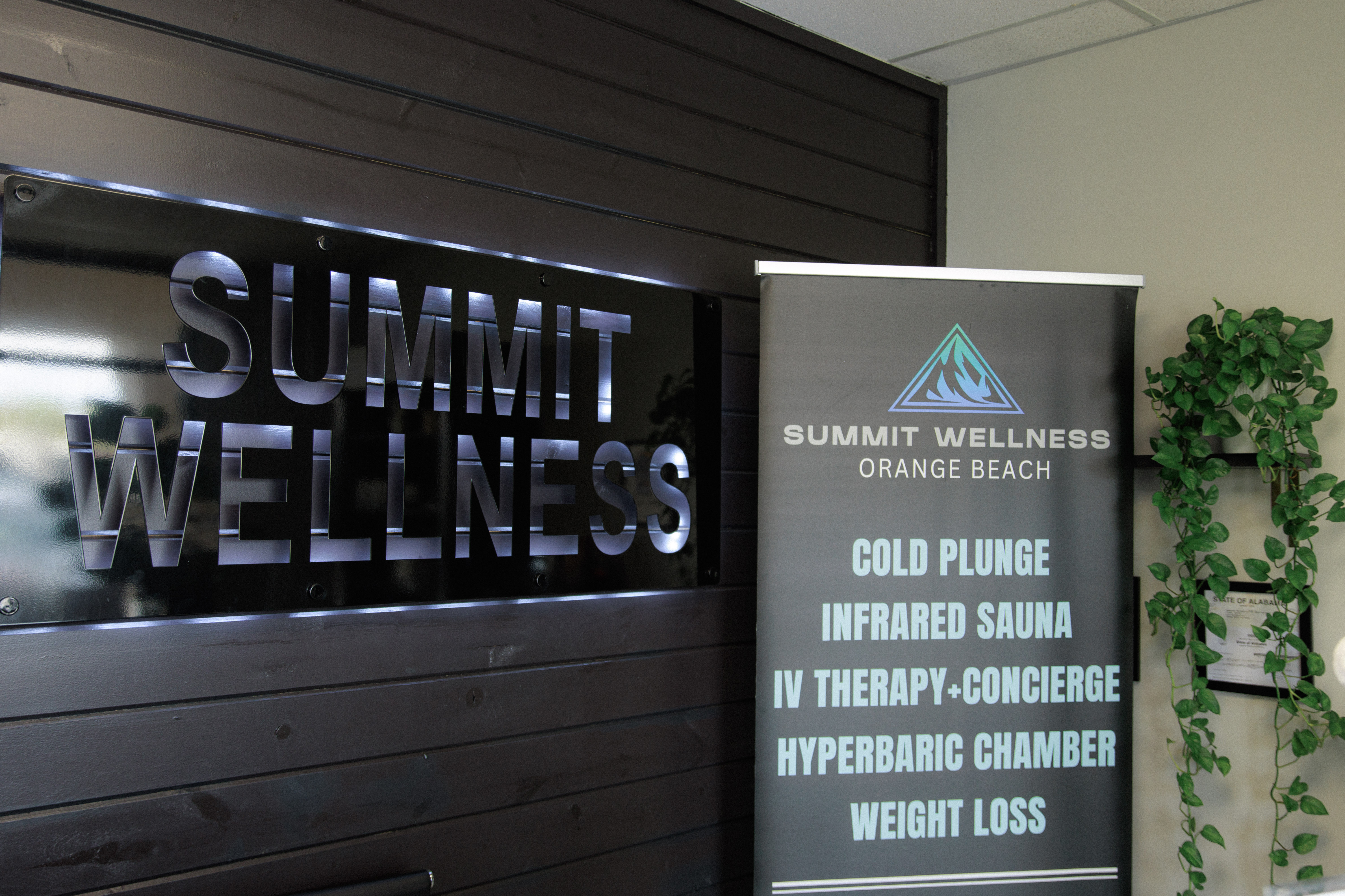 Summit Wellness